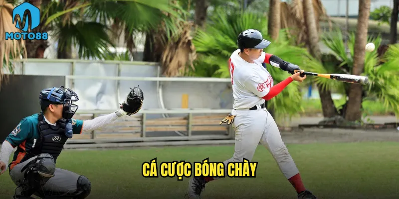 Cá cược bóng chày