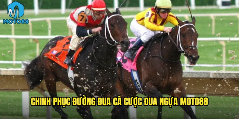 Chinh phục đường đua cá cược đua ngựa Moto88
