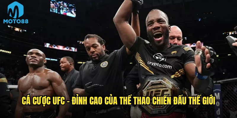 Cá cược UFC - đỉnh cao của thể thao chiến đấu thế giới
