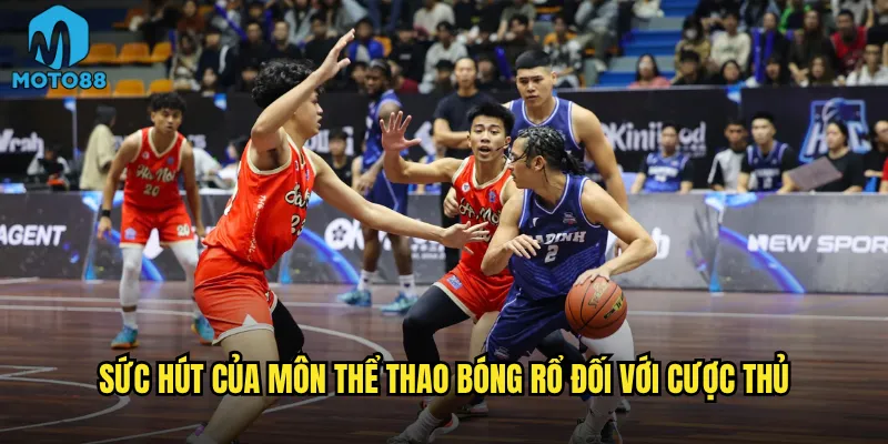 Sức hút của môn thể thao bóng rổ đối với cược thủ